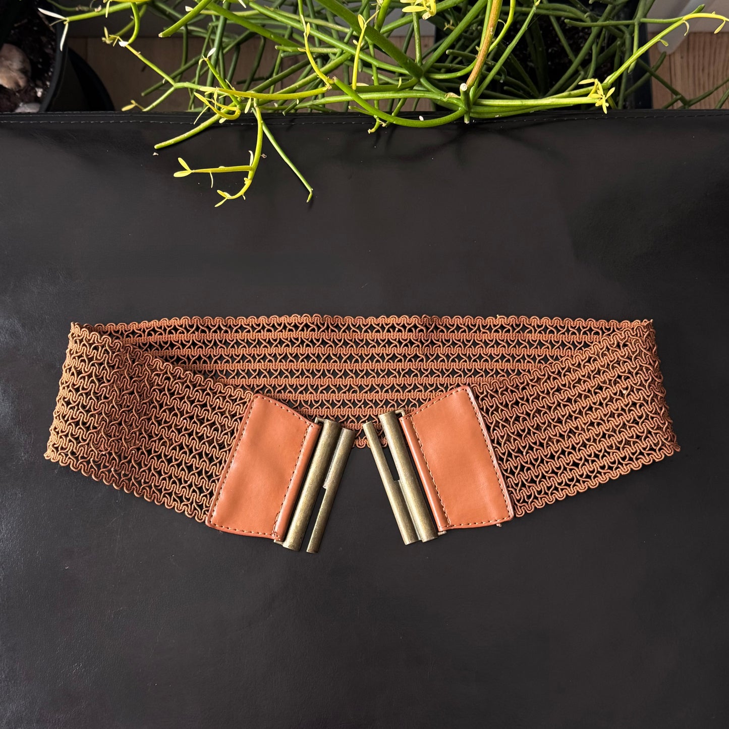 Warm Brown & Gold Chunky Belt