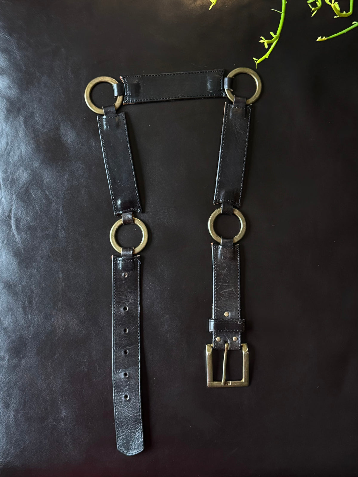 Black & Gold Hoop Belt
